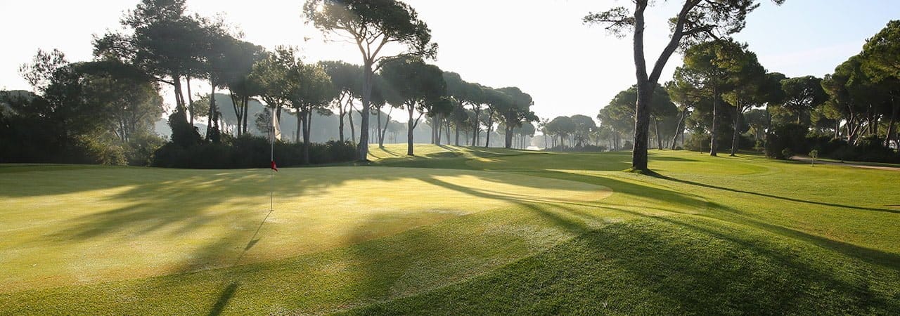 4811c0e2-99a7-4f49-a067-36752dd4f108 Robinson Nobilis Golf Club / 18 Holes