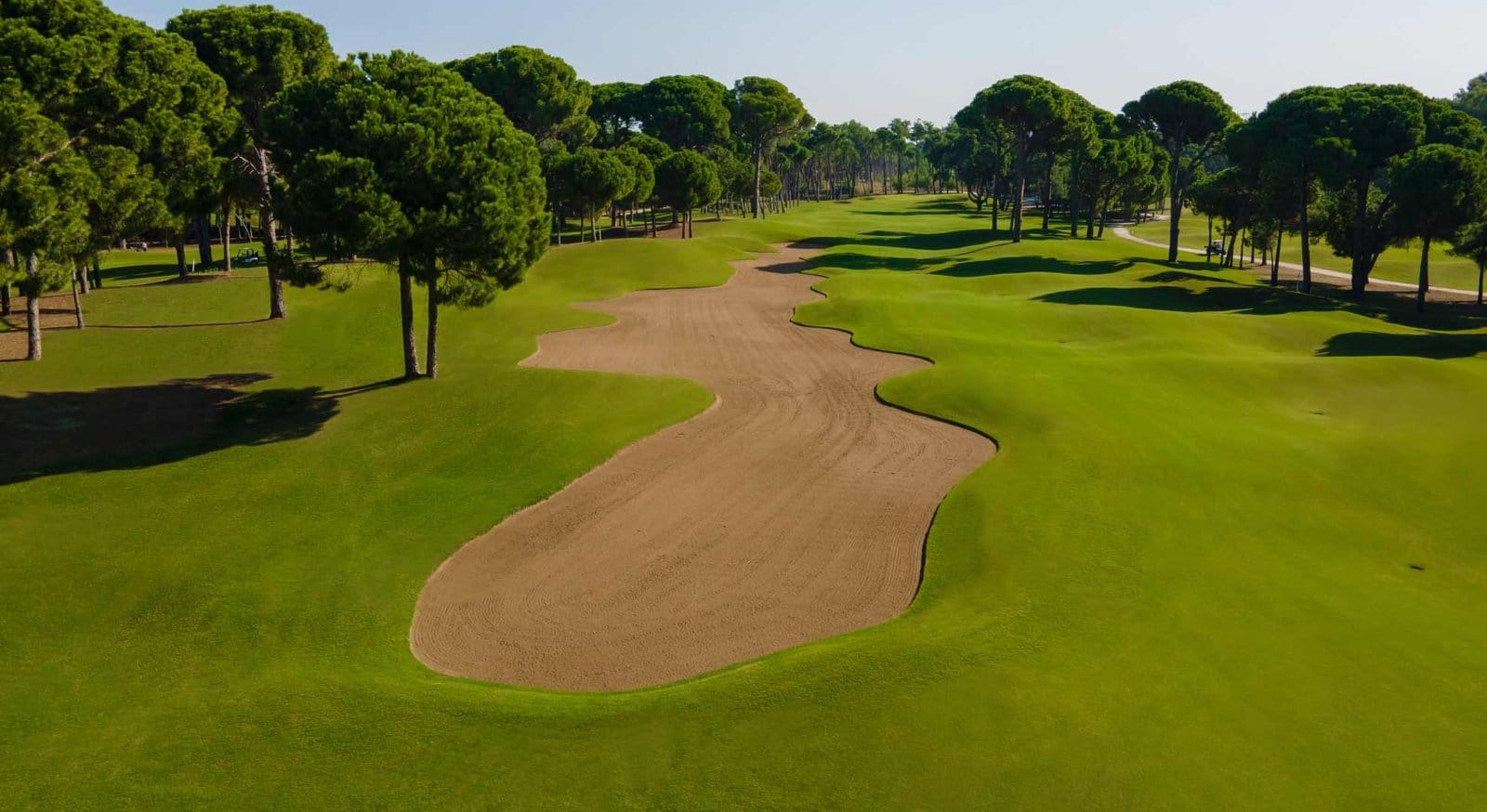 golfclubanabanner-(4) golfclubanabanner-(4)