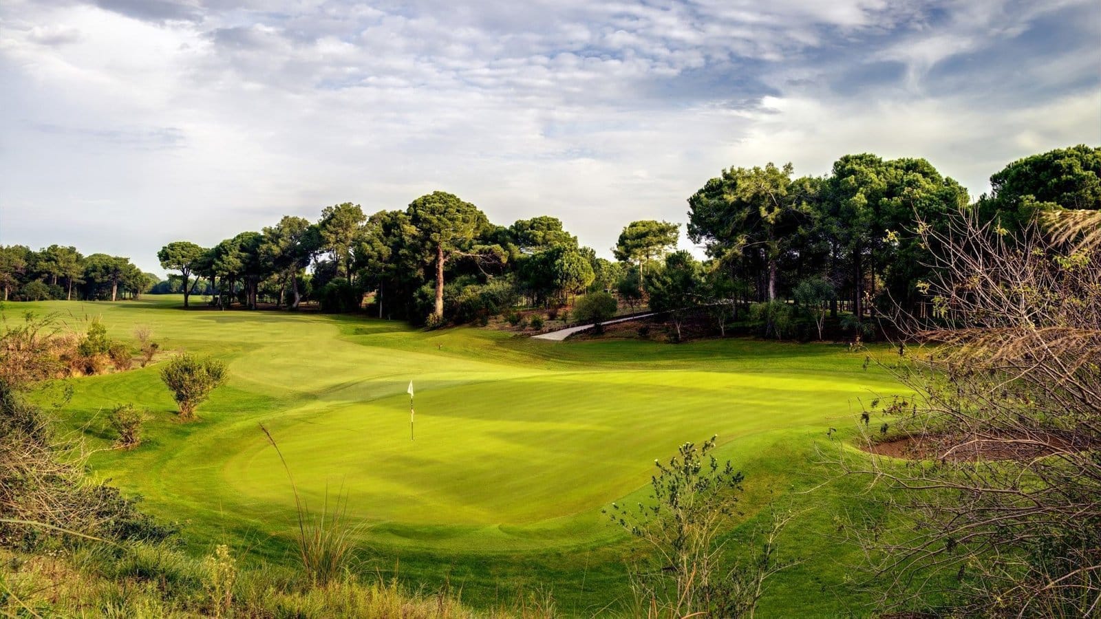HOLE-11---THE-LONG-2 HOLE-11---THE-LONG-2