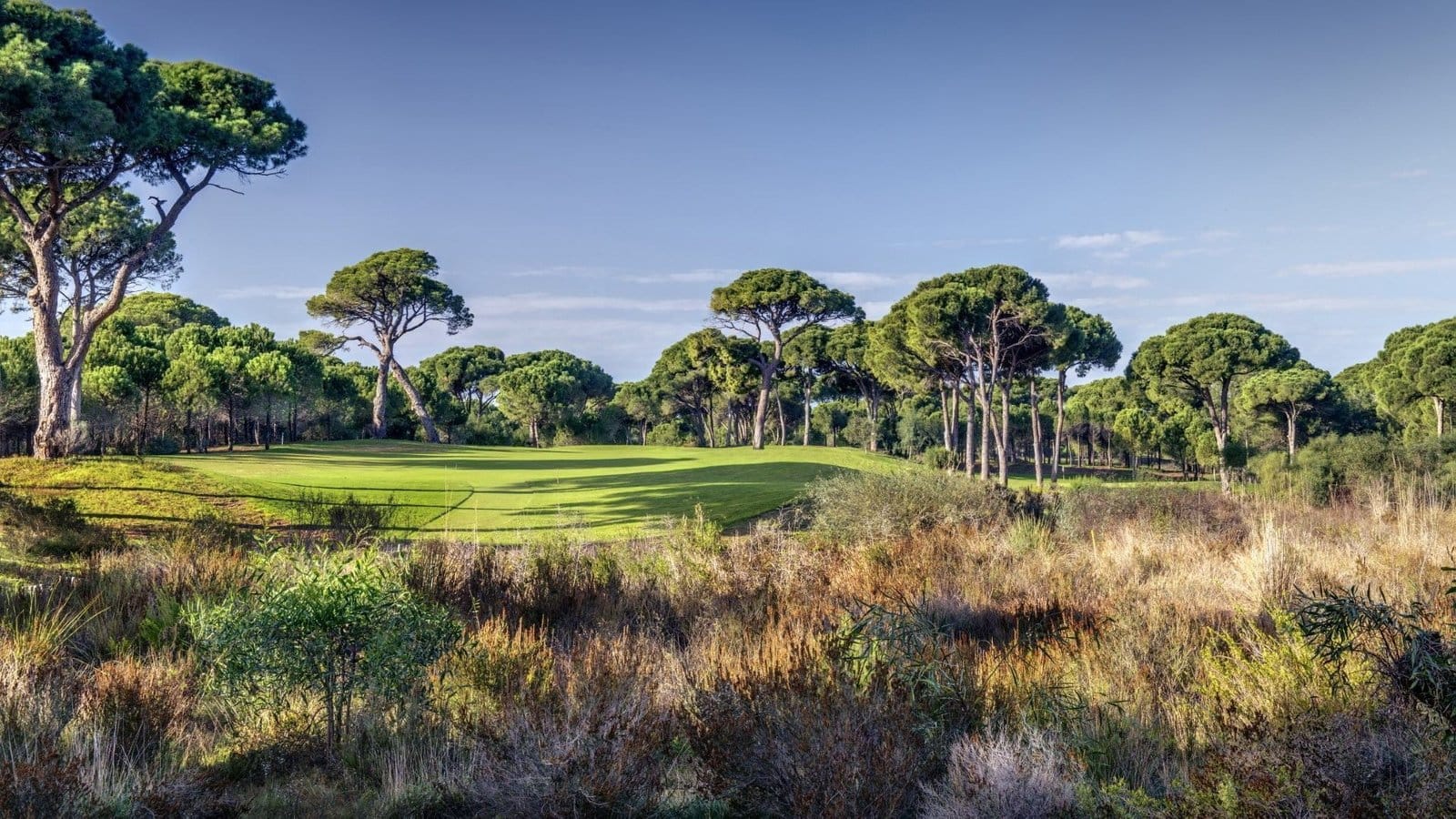 HOLE-7---FALDO-S-CHOICE-2 HOLE-7---FALDO-S-CHOICE-2