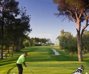 9 https://ml88lzrgw8pg.i.optimole.com/w:288/h:240/q:mauto/rt:fill/g:ce/ig:avif/https://eposgolf.com/wp-content/uploads/2024/02/Epos-7839194013-the-gloria-new-course5.png