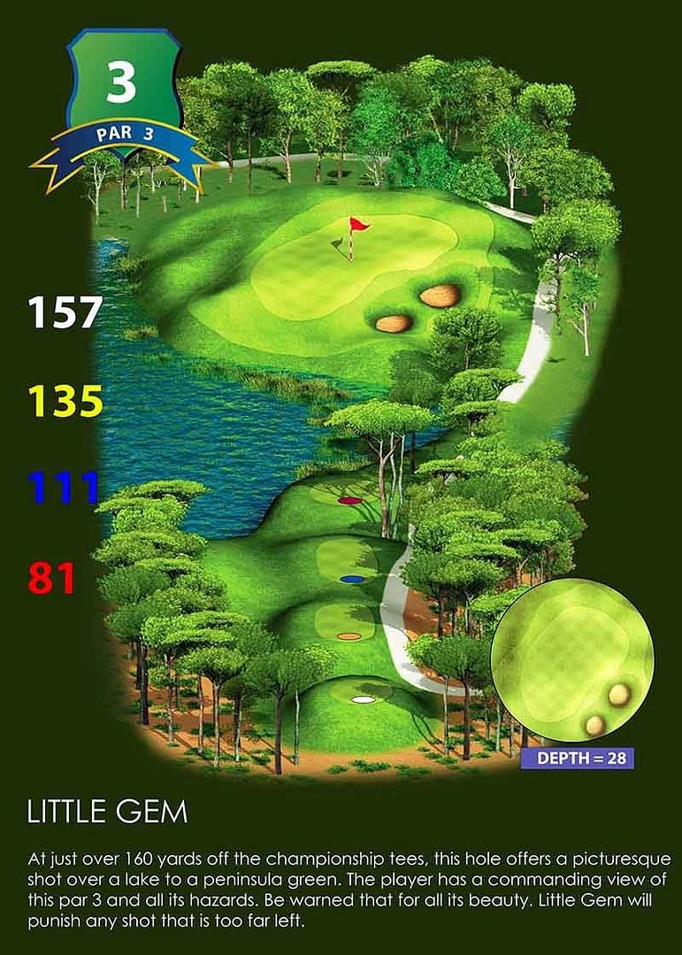 3 3