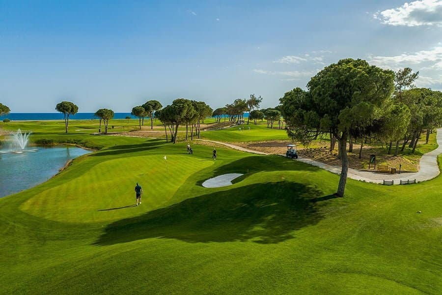 ad15accd-ae58-47d5-aefe-38c20ddeae81 https://ml88lzrgw8pg.i.optimole.com/w:900/h:600/q:mauto/ig:avif/https://eposgolf.com/wp-content/uploads/2024/01/ad15accd-ae58-47d5-aefe-38c20ddeae81.jpg